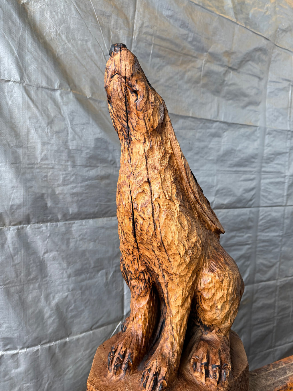 Hare in Oak