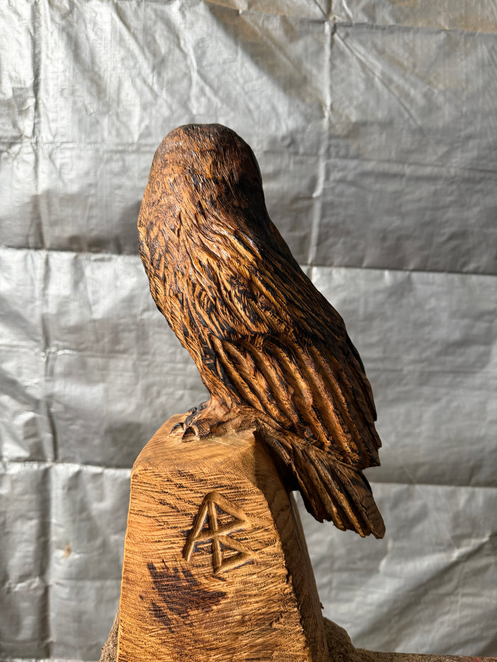 Small Oak Owl