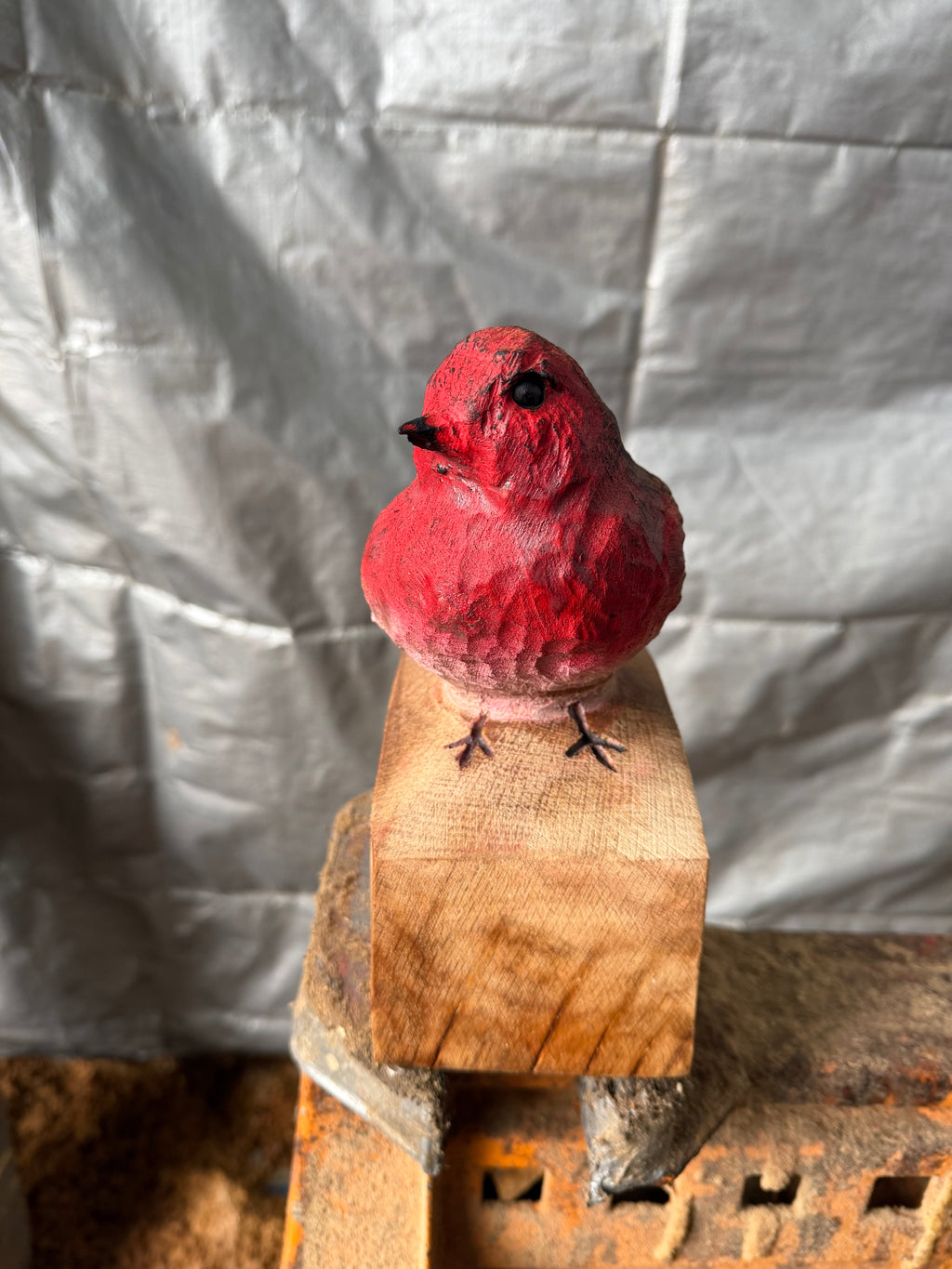 Oak Robin