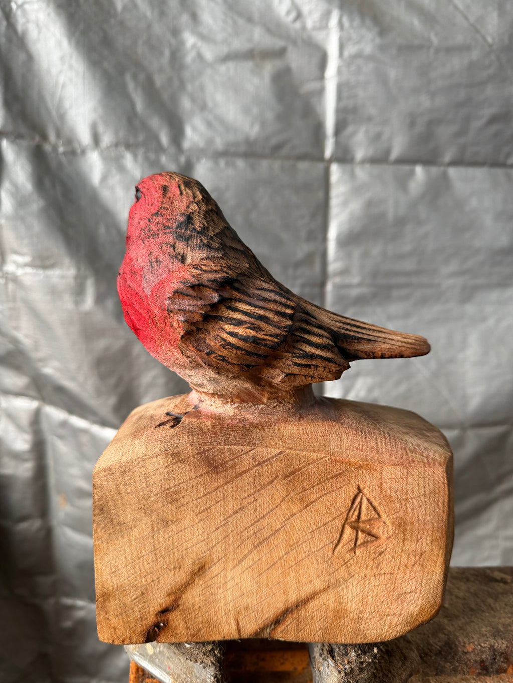 Oak Robin