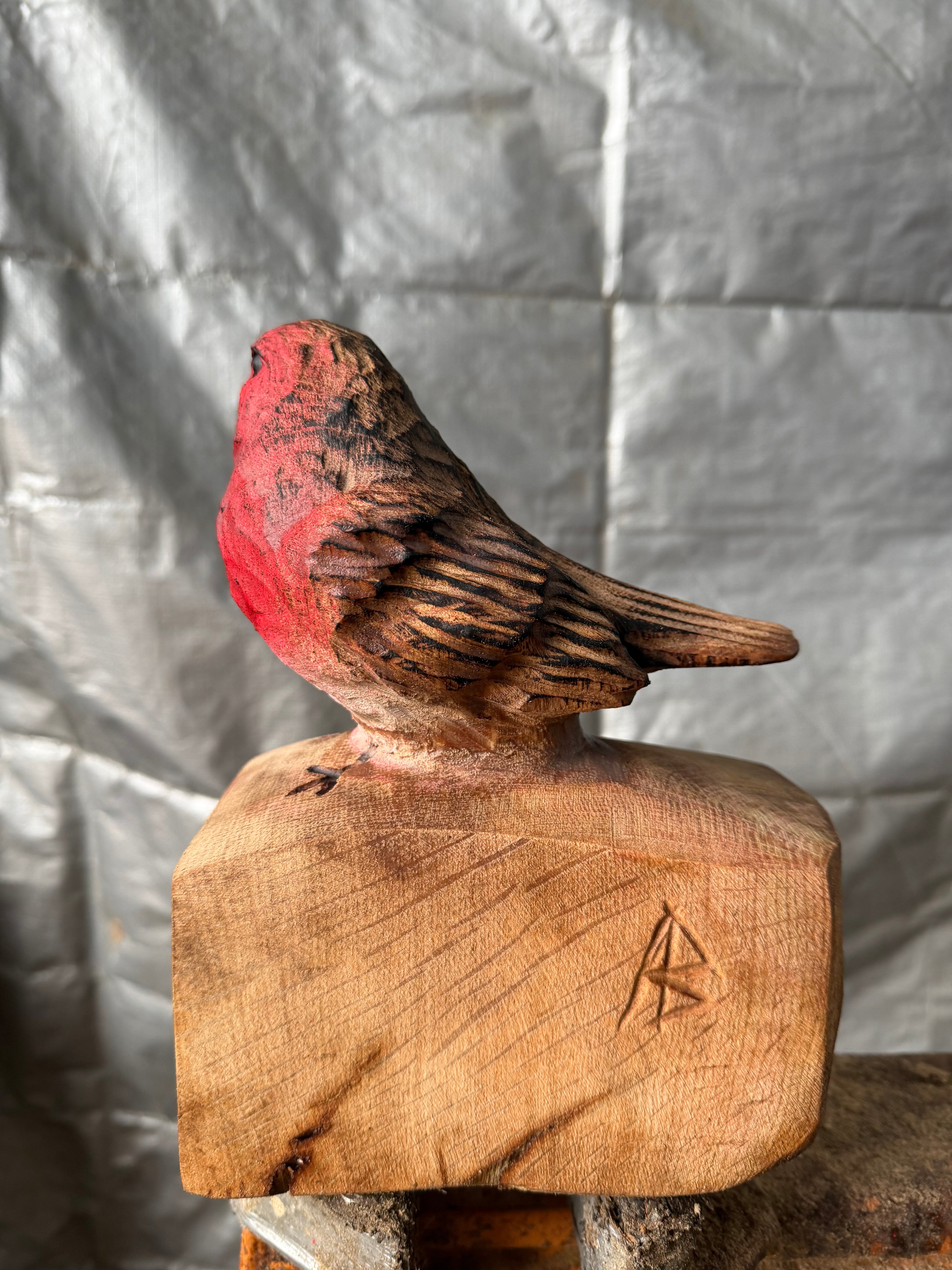 Oak Robin