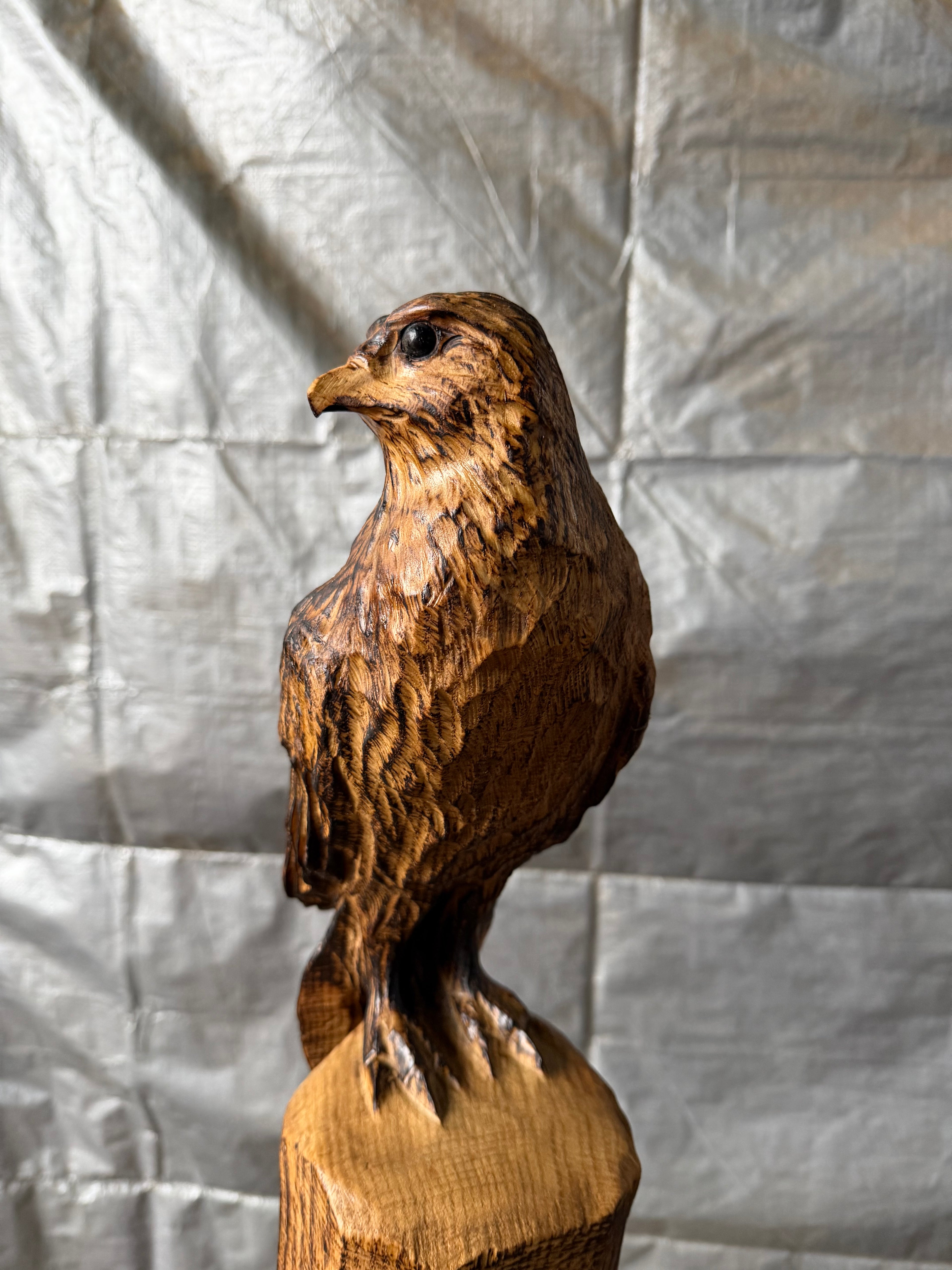 Bird of Prey in Oak