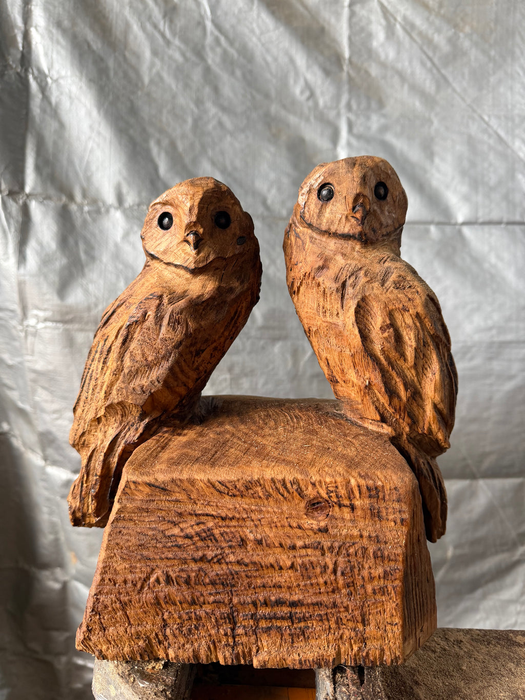 Small Double Owls in oak