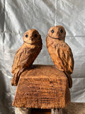 Small Double Owls in oak