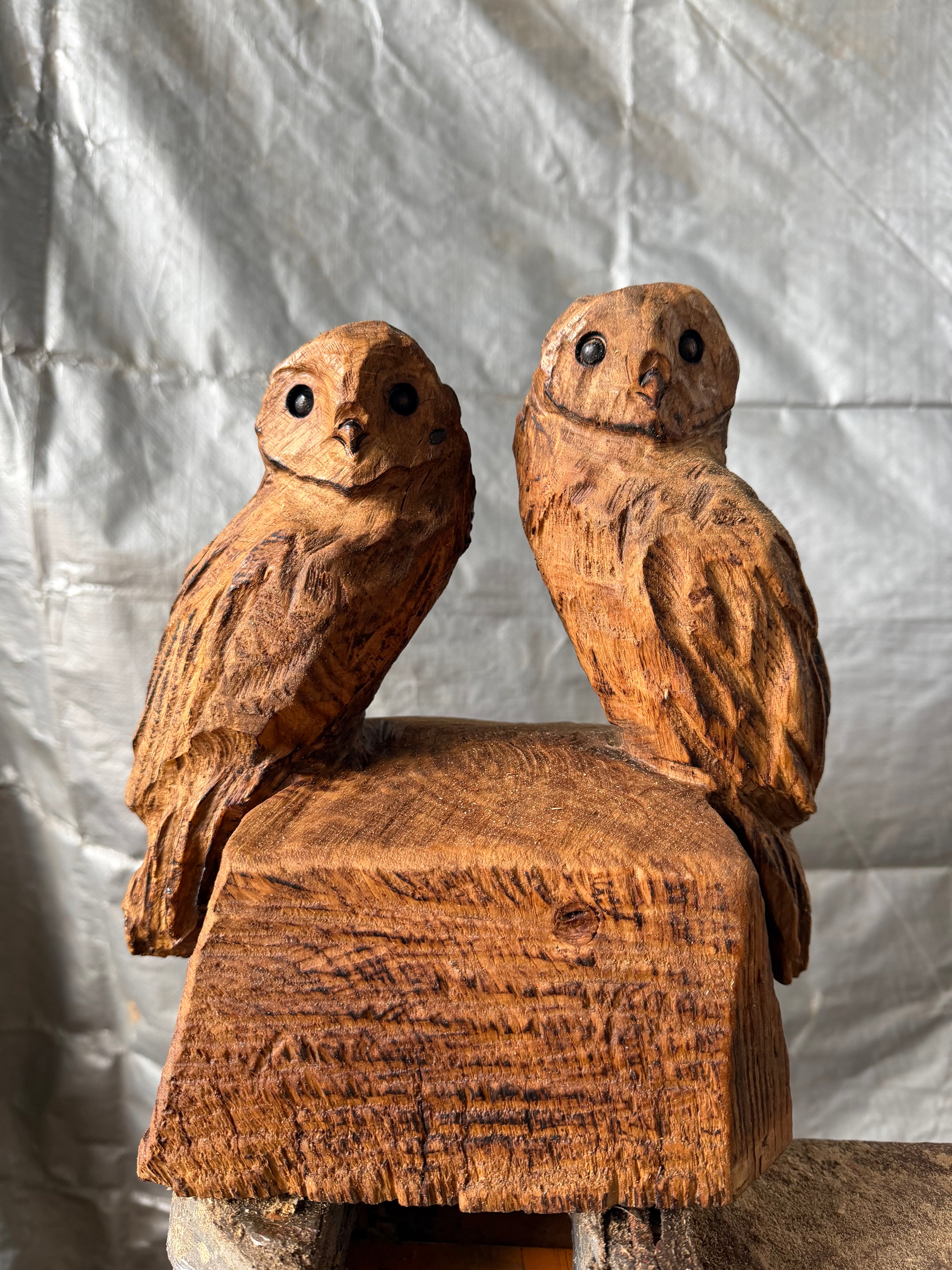 Small Double Owls in oak