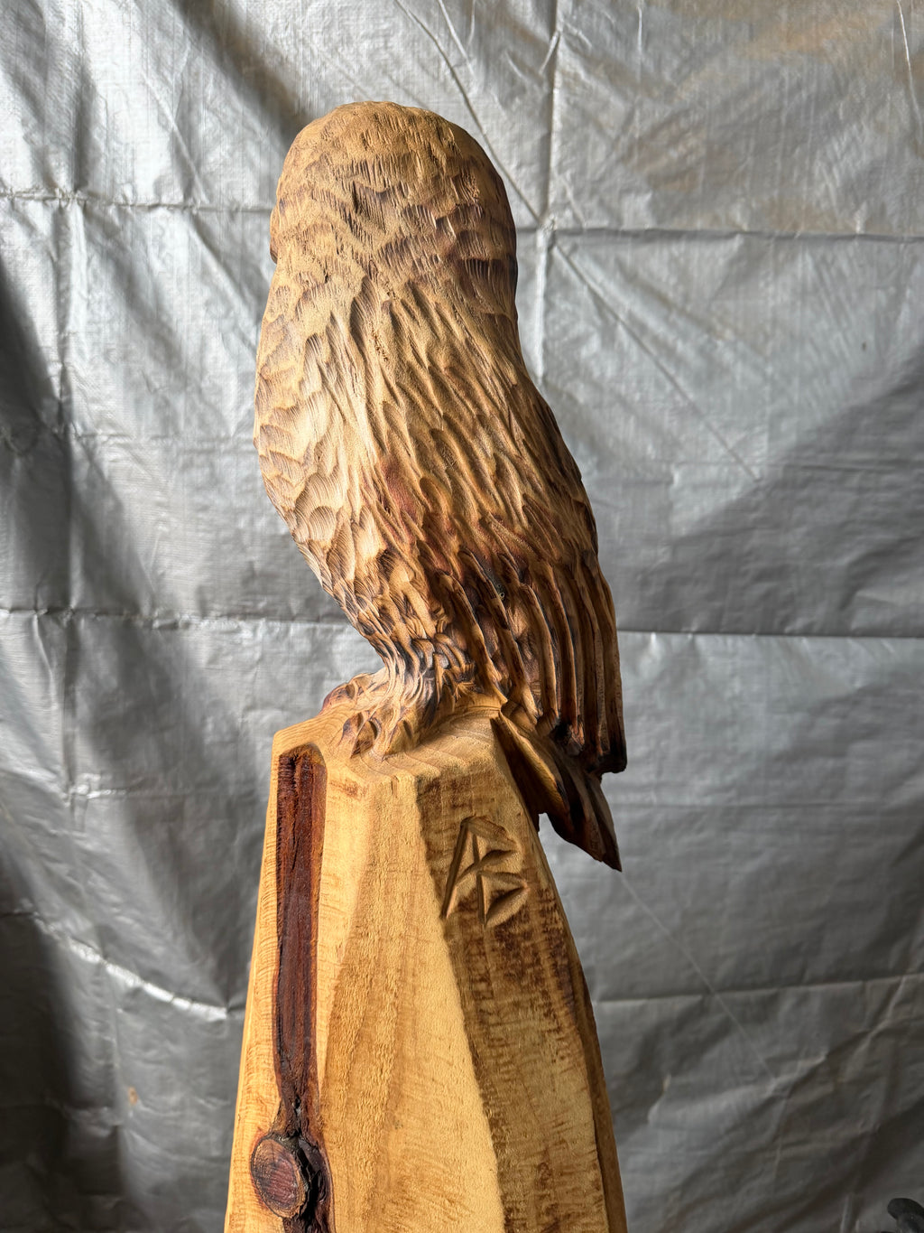 Single Redwood Painted Owl