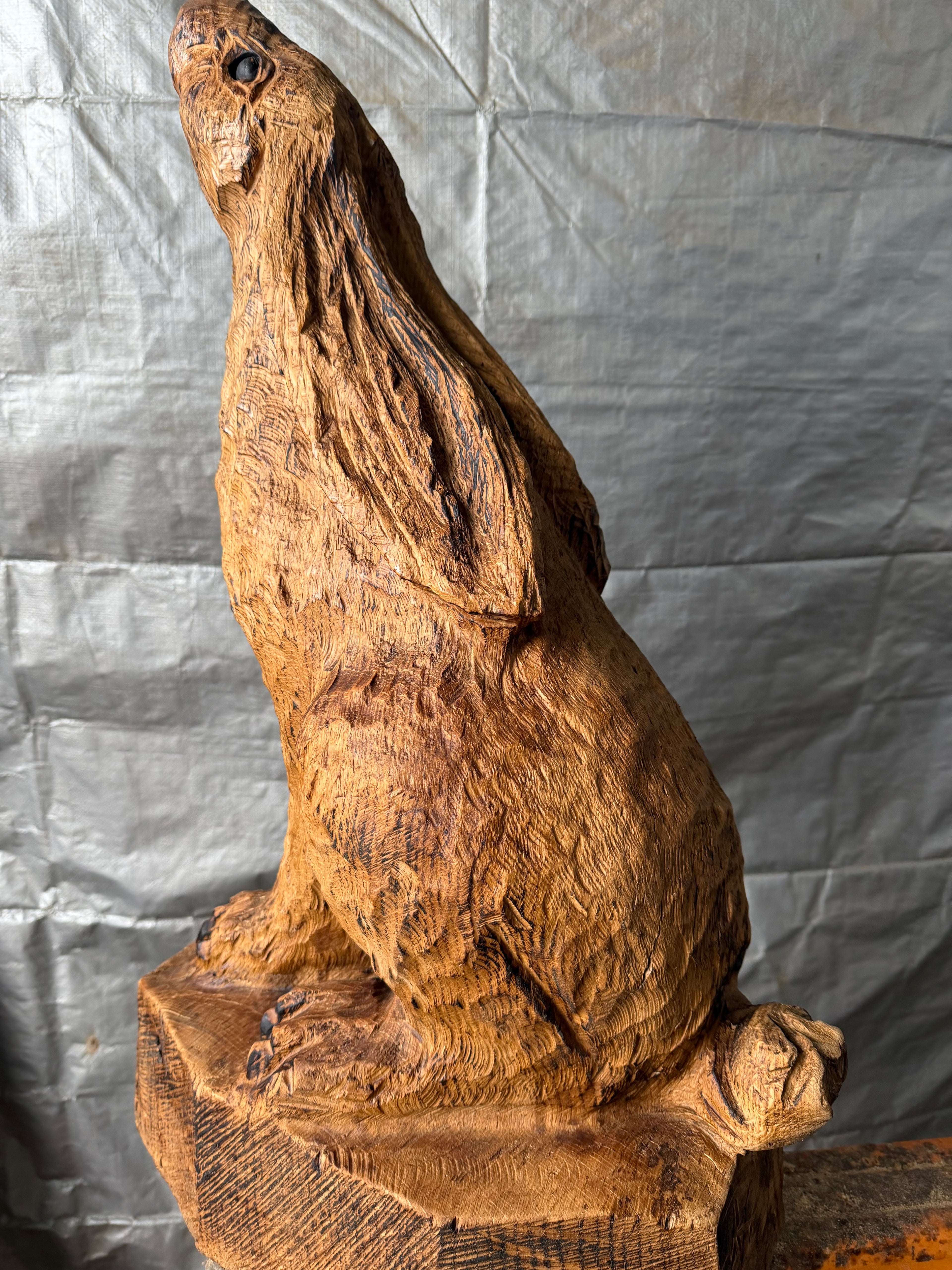 Hare in Oak