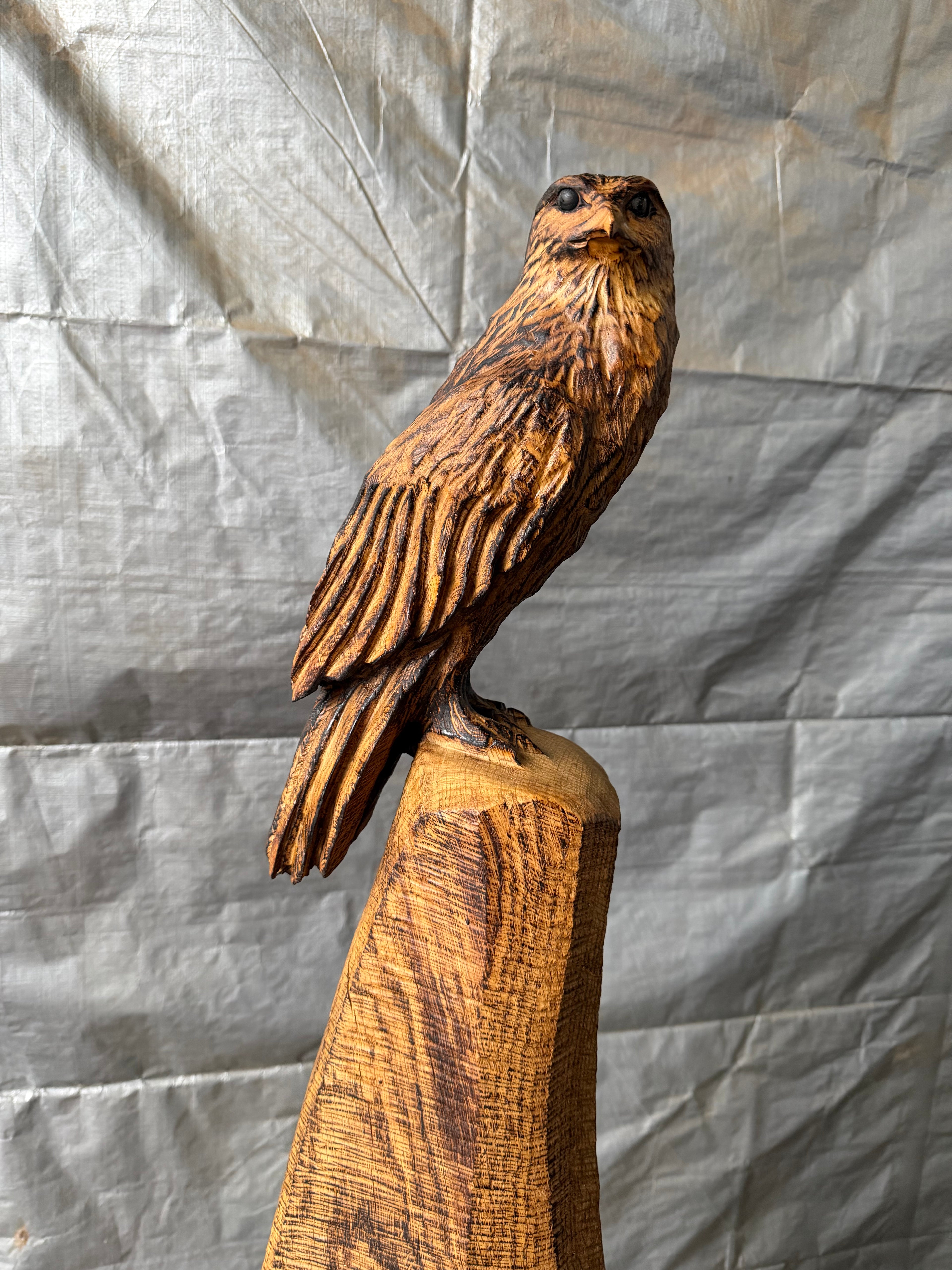 Bird of Prey in Oak