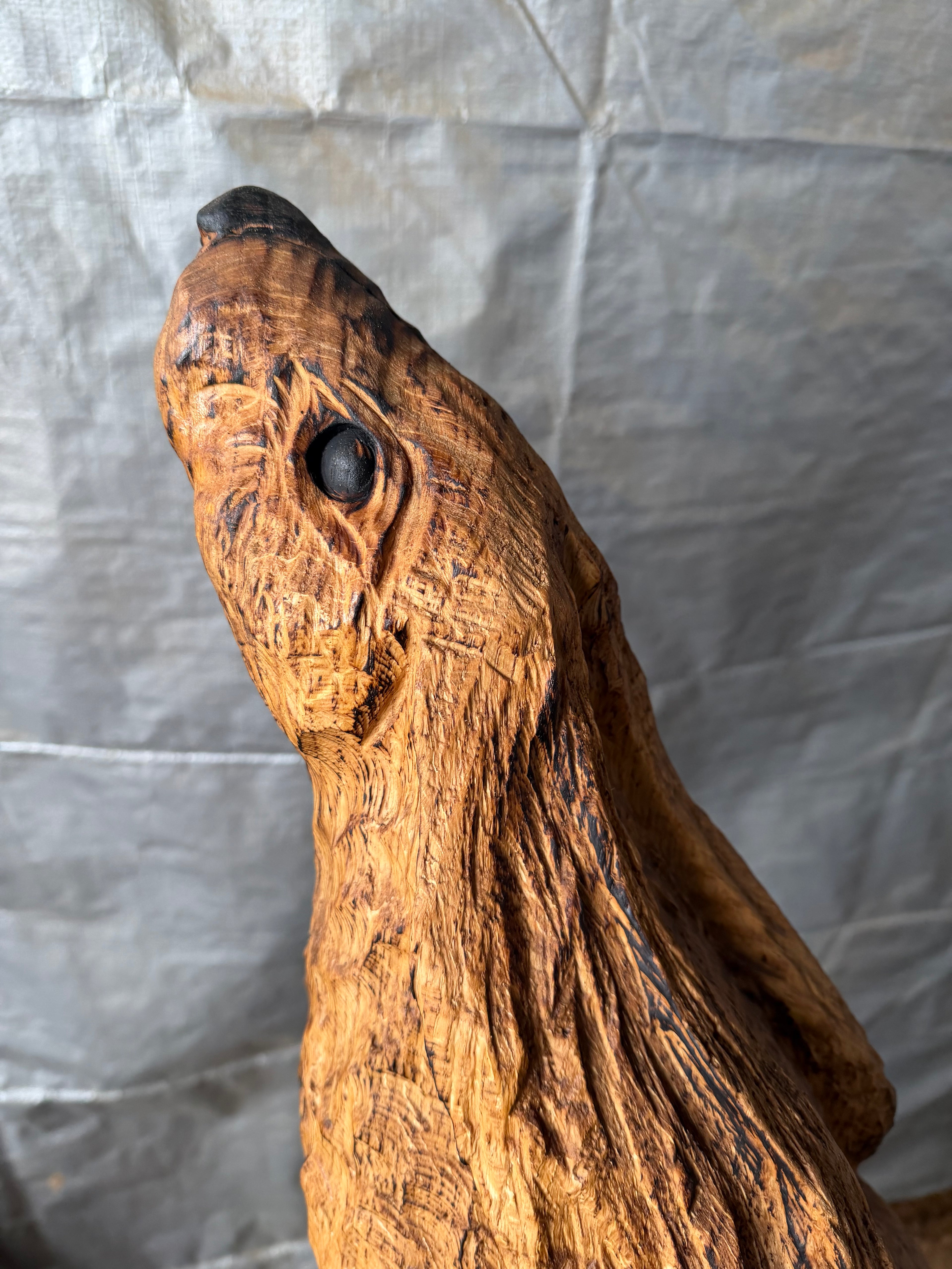 Hare in Oak
