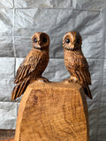 Oak Double Owls